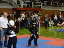 Diákolimpia 2014